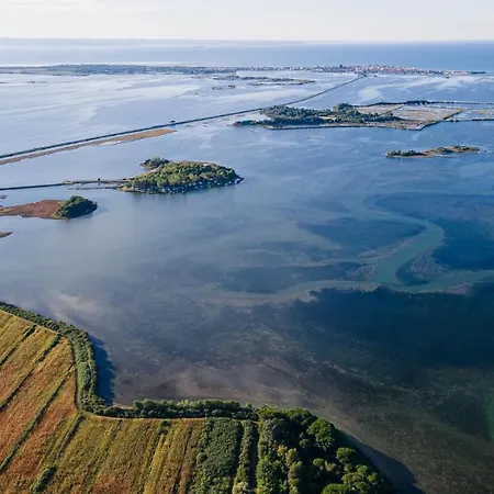 Ai Due Leoni Aquiléia