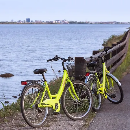 Ai Due Leoni * 아퀼레이아