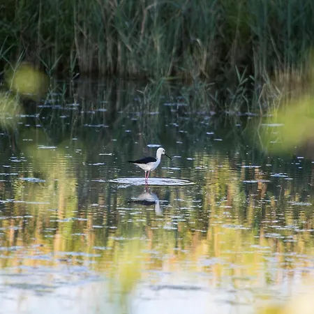 Ai Due Leoni 팜스테이