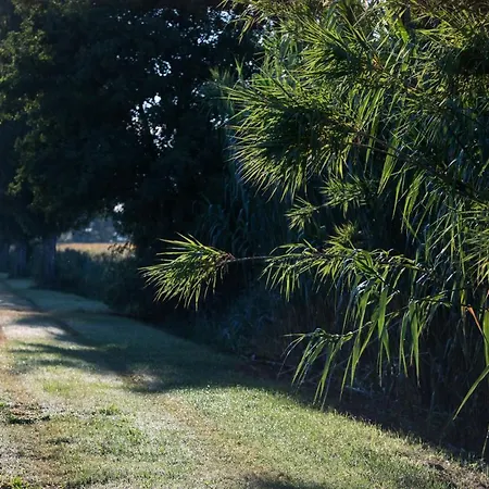 Agriturismo Ai Due Leoni * Aquiléia