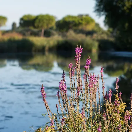 Vakantieboerderij Ai Due Leoni Aquiléia