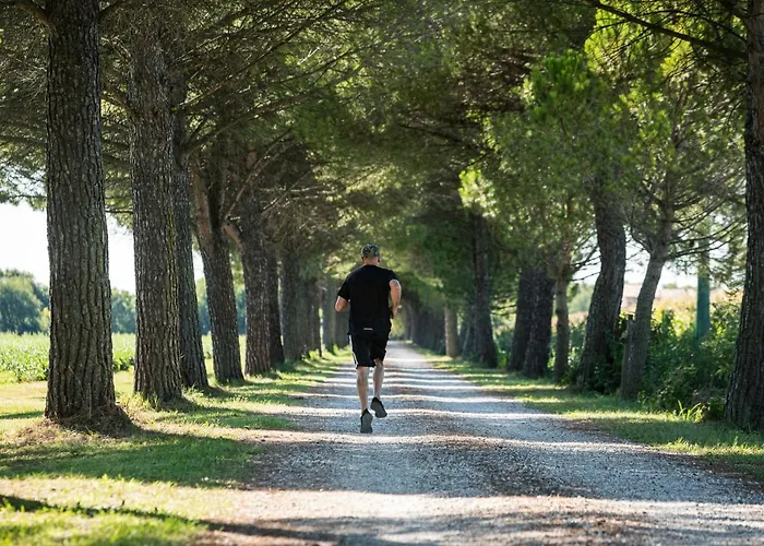 Farm stay Agriturismo Ai Due Leoni Aquileia