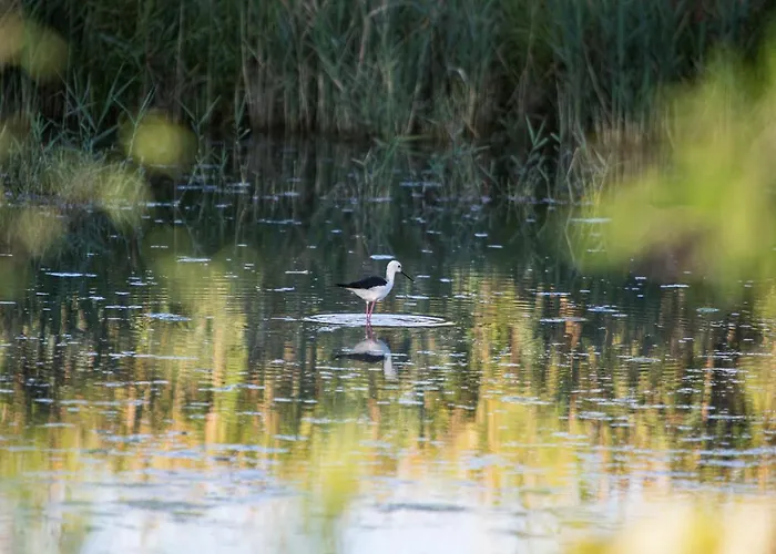 Agriturismo Ai Due Leoni Farm stay