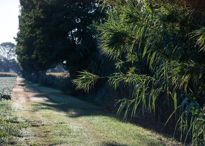 Agriturismo Ai Due Leoni * Aquileia