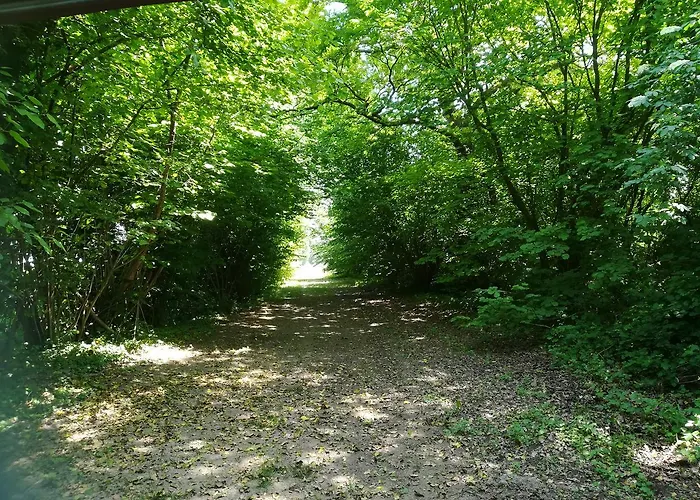 Farm stay Agriturismo Ai Due Leoni